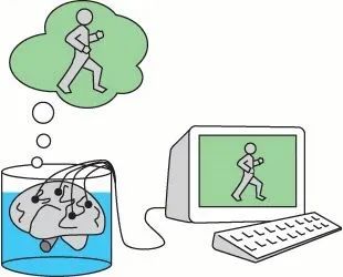 大模型=缸中之脑？通院朱松纯团队剖析AGI关键缺失